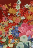 13217 - Agemaki 12977 crop1  